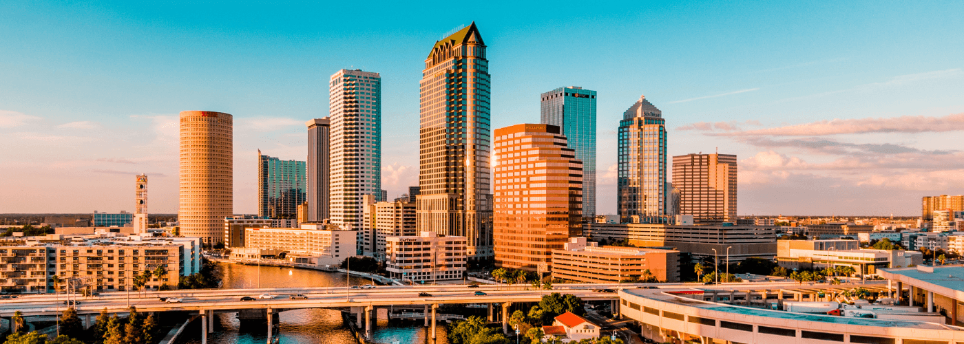 Tampa Landscape
