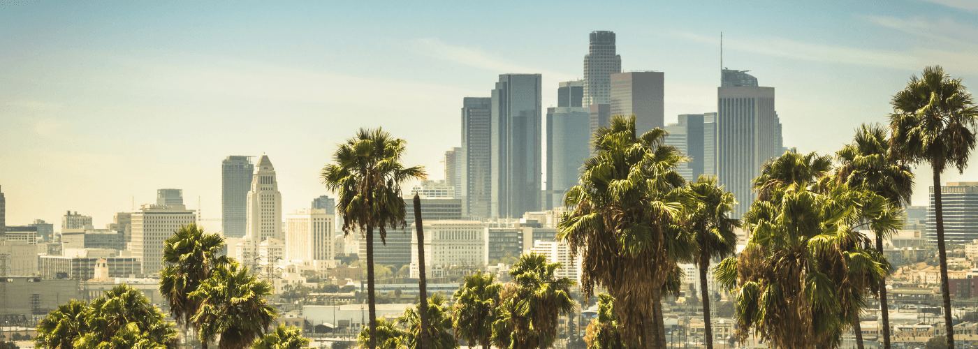 Los Angeles Landscape